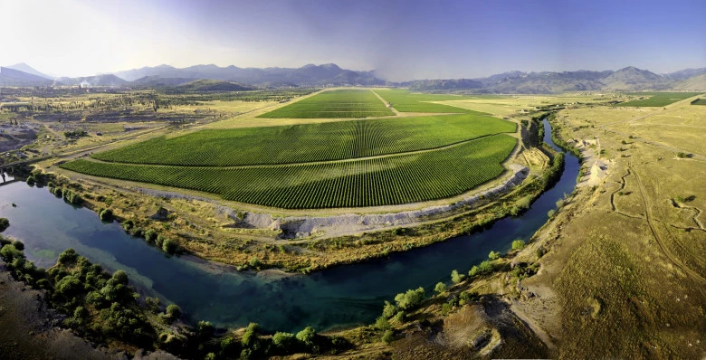 Plantaže Vineyard from above